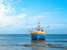 Nach den Quotenkürzungen für Hering und Dorsch in der Ostsee droht vielen kleinen, lokalen Küstenfischern im Land das Aus.