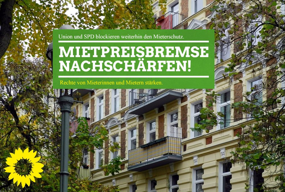 Im Hintergrund eine Foto einer begrünten Altbau-Mietshausfassade, davor grünes Textfeld: "Union und SPD blockieren weiterhin den Mieterschutz. Mietpreisbremse nachschärfen! Rechte von Mieterinnen und Mietern stärken.